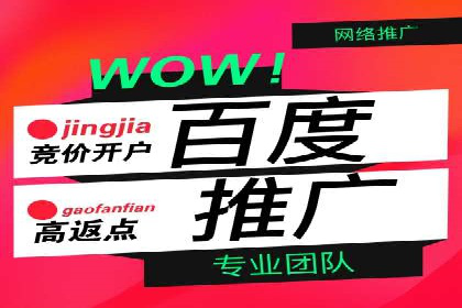 SEM托管成功案例：揭秘高效广告投放策略